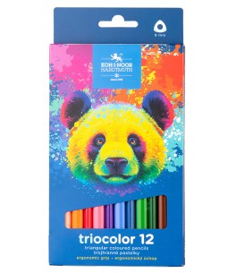 Set school kleurpotloden