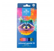 Racoon kleurpotloden