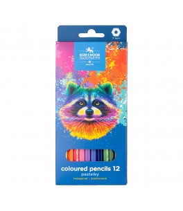 Racoon kleurpotloden