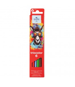 Donkey coloured pencils 6