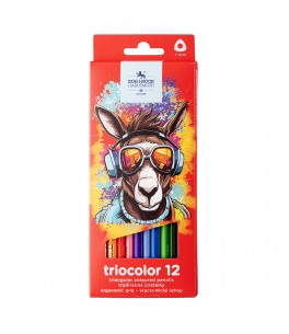 Donkey coloured pencils 12